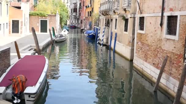 Landschap met gondels in Venetië — Stockvideo