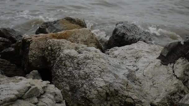 Slow motion storm golven geblazen door de wind — Stockvideo