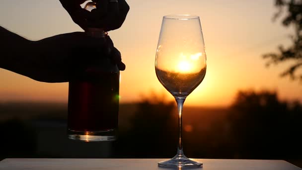 バルーン ワイングラスに注がれて豊かな赤ワイン — ストック動画