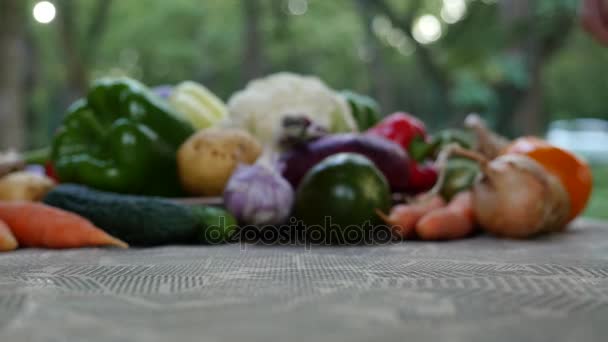 Mladá dívka sklizně. Žena ruce Přeložte česnek. — Stock video