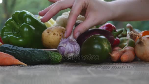 Young girl harvests. Woman hands fold the garlic. — Stock Video