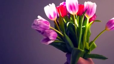 Bahar zamanı, Anneler günün kutlu olsun! Lale hafif bir arka plan üzerinde bir buket Close-Up