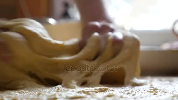 Adult woman hands preparing dough for homemade pasta — Stock Video