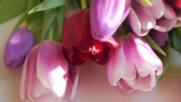 Beautiful bouquet of colorful tulips. Spring time, Happy Mothers Day. — Stock Video