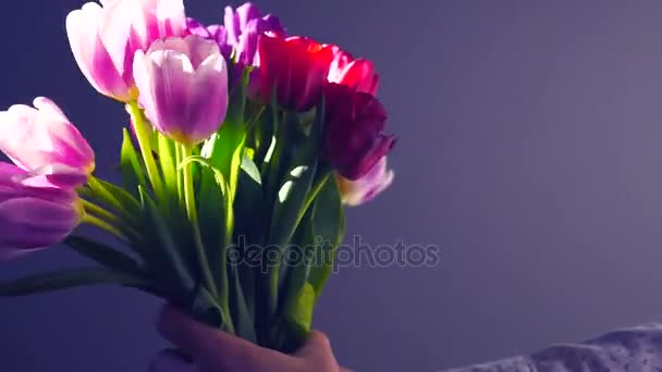 Hände von Männern und Frauen in Nahaufnahme mit einem Blumenstrauß. Frühling, fröhlicher Muttertag! — Stockvideo