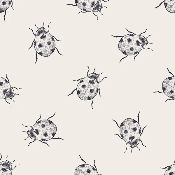 Beetles vintage seamless pattern — Stock Photo, Image