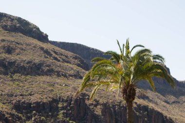 gran canaria ada dağlar