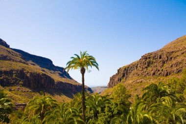 gran canaria ada dağlar