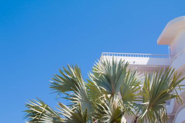 Tatil kavramı. İspanya.