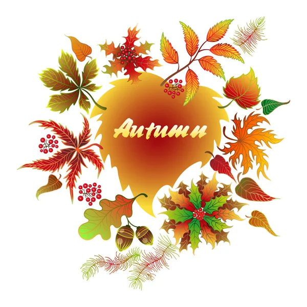 Autumn typographic. Fall leaf. — Stock Vector