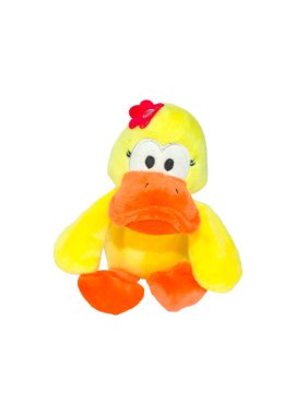 Sevimli hayvan yavru ördek