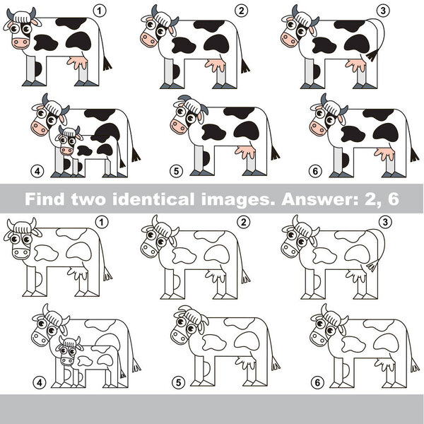 Visual game for kids to find hidden couple of objects.