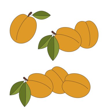 Tatlı kayısı çizgi film.