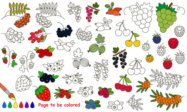 Berries set cartoon. Page to be colored.