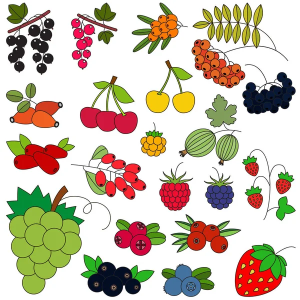 Berry set colorful. — Stock Vector