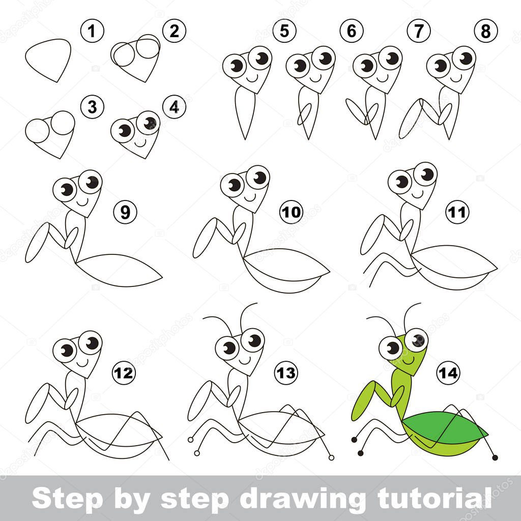Drawing tutorial. The Mantis.