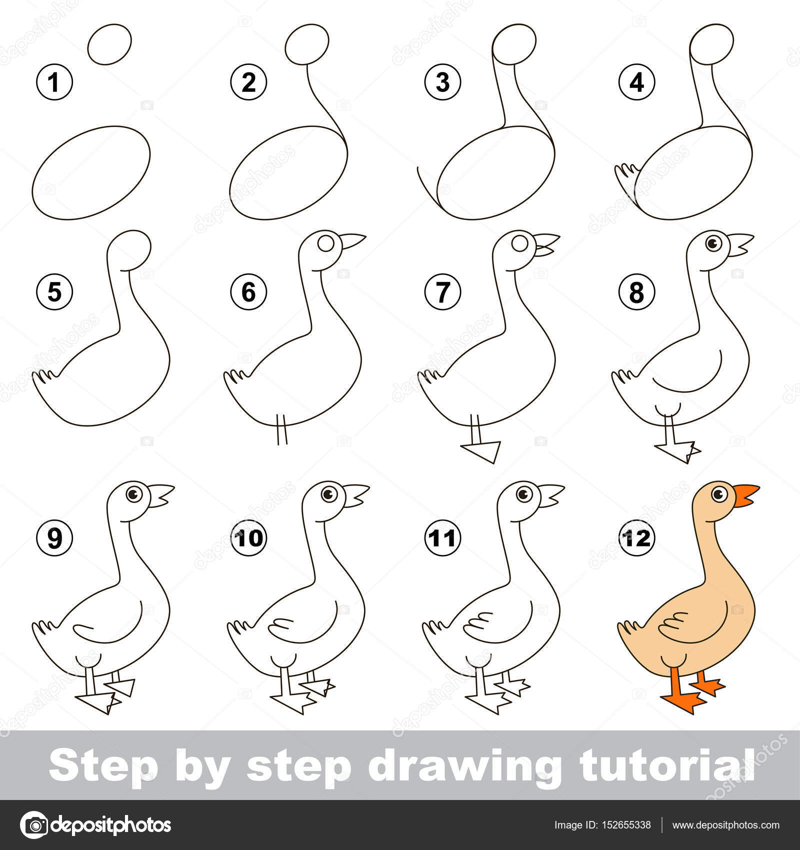 How to Draw a Goose - A Step-by-Step Goose Illustration Tutorial