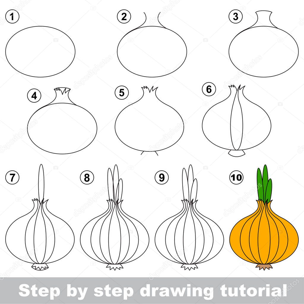 Kid game to develop drawing skill with easy gaming level for preschool kids, drawing educational tutorial for Onion