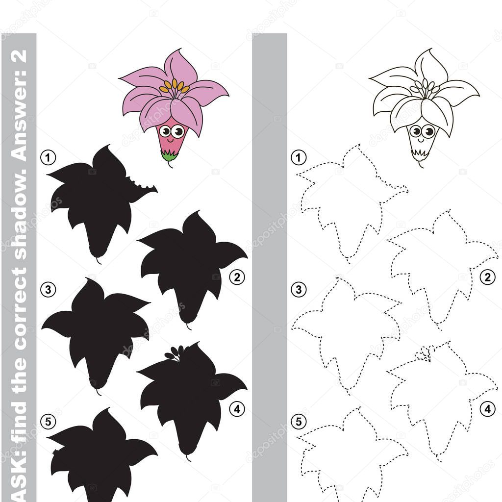 Happy Pink Lilly with different shadows to find the correct one, compare and connect object with it true shadow, the educational kid game with simple gaming level.