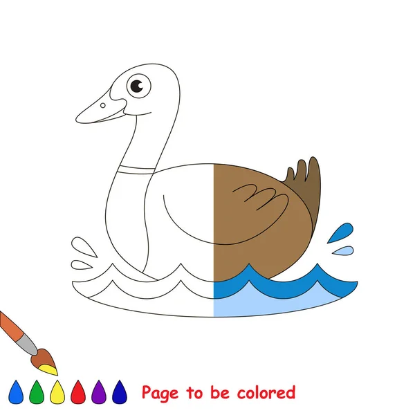 Pato Selvagem Bonito Livro Colorir Para Educar Crianças Pré Escolares —  Vetores de Stock