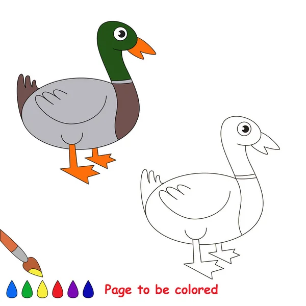 Pato Selvagem Bonito Para Ser Colorido Livro Colorir Para Crianças —  Vetores de Stock