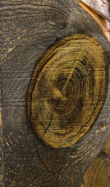 eski yanmış tahtası 