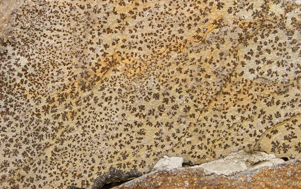 Pedra com padrão natural . — Fotografia de Stock