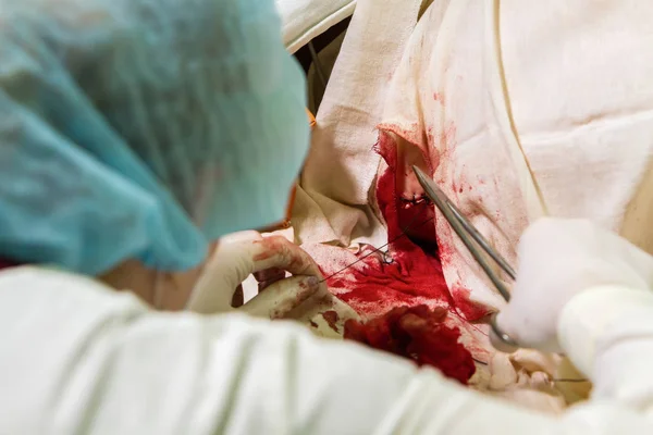 Doktor bir yara tasarlamak