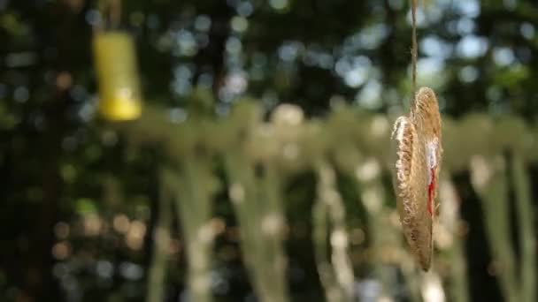 Cœur Tissé Partir Une Corde Balance Dans Vent Sur Fond — Video