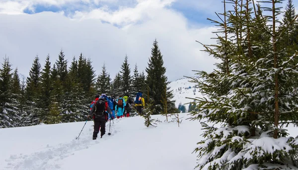 Trekking v horách na jaře — Stock fotografie