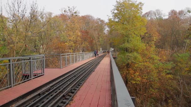人们走过公园峡谷上的一座狭窄的铁路桥 摄像机从左向右移动 完全没有声音 — 图库视频影像