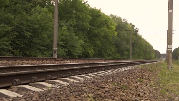 Demiryolu Raylarındaki Sabit Çerçeve Mesafeye Gidiyor Uzak Çekim Full Ses — Stok video