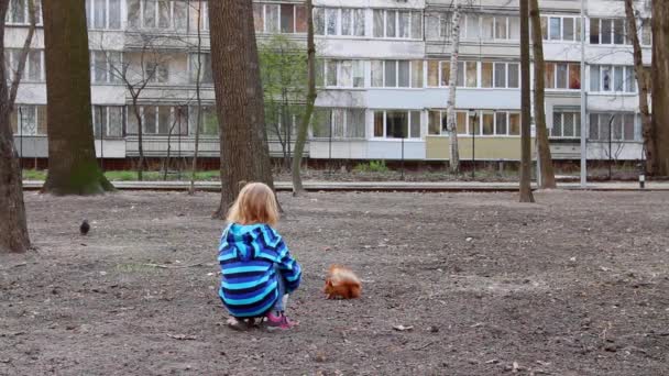 Girl Tries Feed Squirrel Takes Her Hand Out Fright Squirrel — Stock Video
