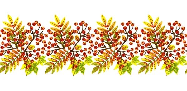 Kenarlık ile sonbahar yaprakları ve rowan demet.