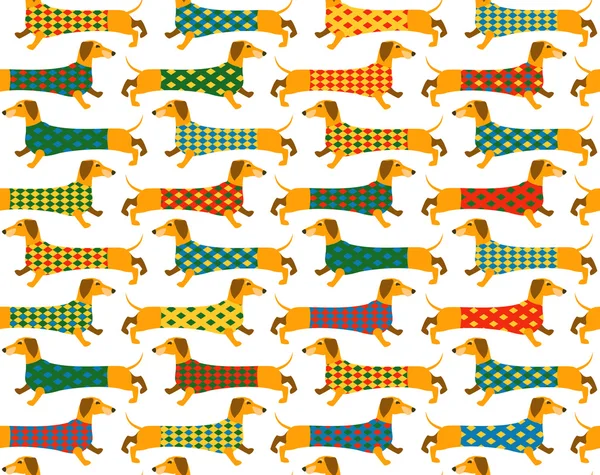 Sorunsuz arka plan deseni ile bir Basset Hound. 