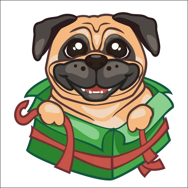 Pug peeps out of the box for gifts — Stock Vector