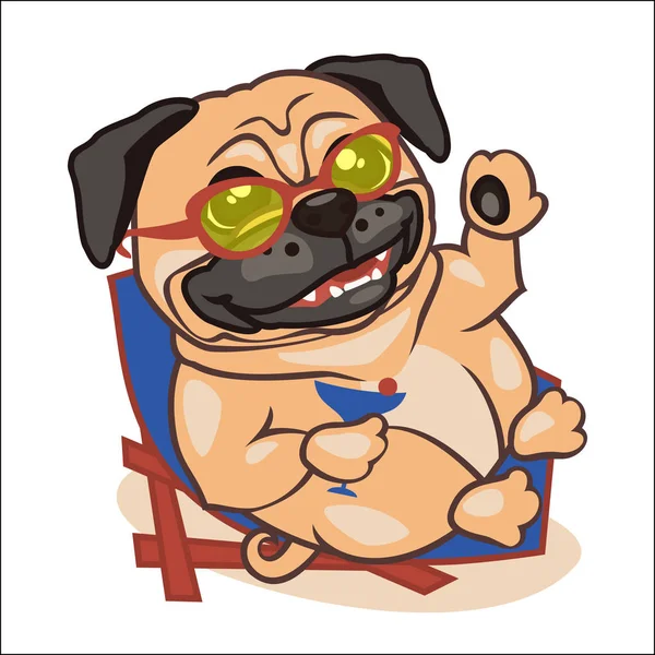 Pug keyfini çıkarın tatil