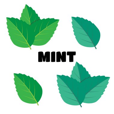 Nane yeşili vektör çizim set