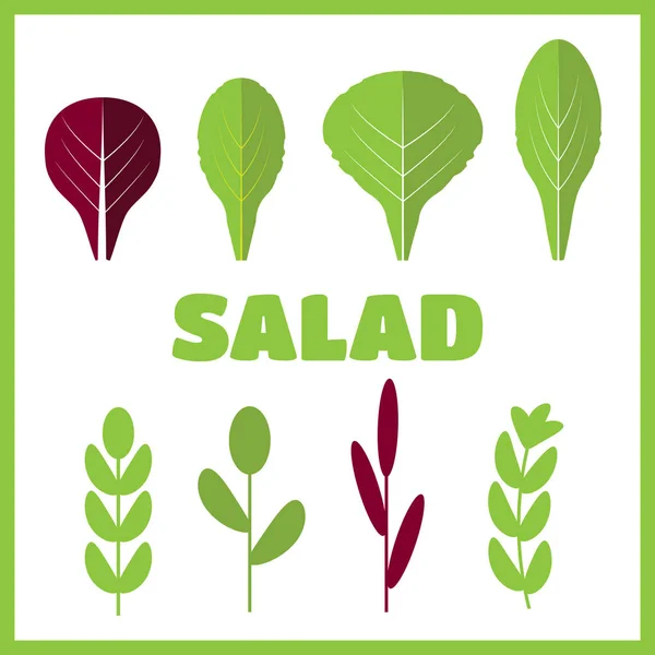 Salata malzemeleri. Yapraklı sebzeler düz Icons set vektör — Stok Vektör
