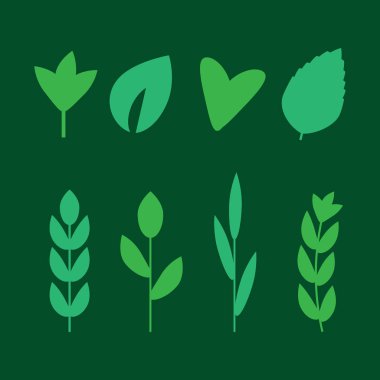 Salata malzemeleri. Yapraklı sebzeler düz Icons set vektör. Organ