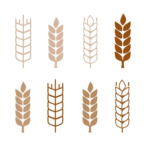 Sada jednoduchých pšenice uši ikony a prvky návrhu pšenice. Pšenice — Stockový vektor