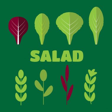 Salata malzemeleri vektör. Yapraklı sebzeler. Organik ve vegetari