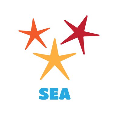 Yaz konsepti kabukları ve deniz yıldızları ile.