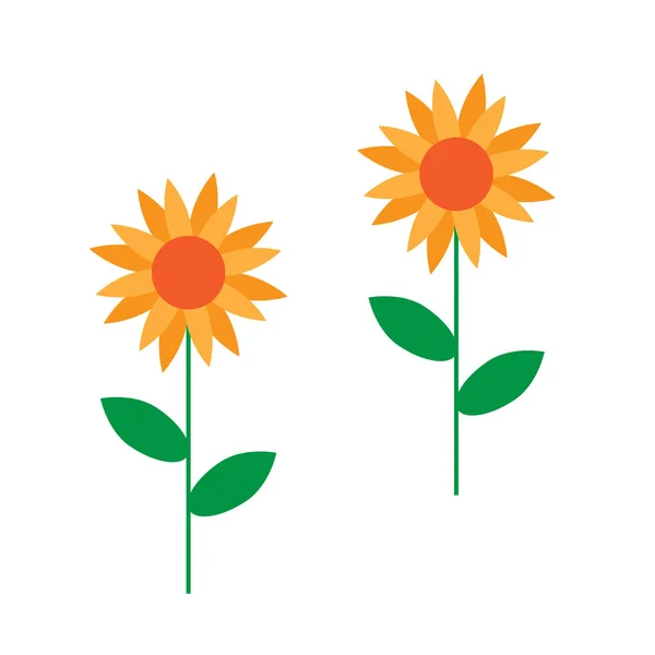 Beyaz zemin üzerine sarı güneşin çiçekler. Yeşil lea ile ayçiçeği — Stok Vektör