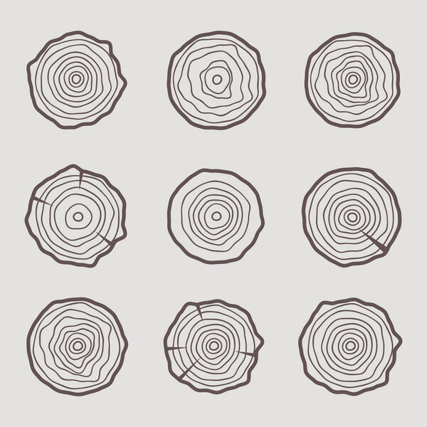 Tree rings icons vector illustration. Abstract age annual. Circl