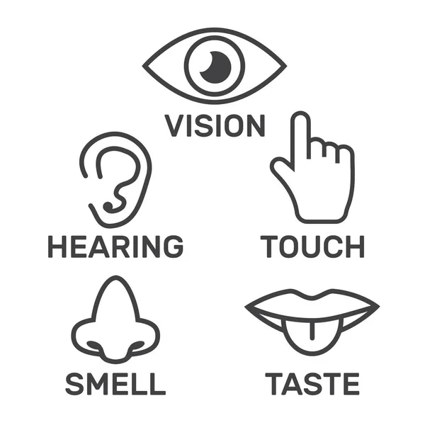 Ícone sentidos humanos: visão, olfato, audição, tato, paladar. Ícones s — Vetor de Stock