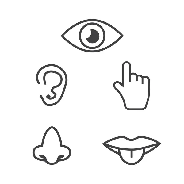 Icon human senses: vision, smell, hearing, touch, taste. Icons s — Stock Vector