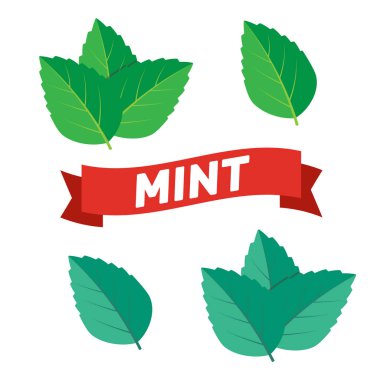 Nane yeşili çizim seti. Nane logo vektörü