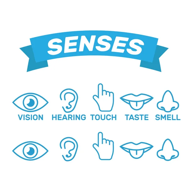 Ícone sentidos humanos: visão, olfato, audição, tato, paladar. Ícones s — Vetor de Stock