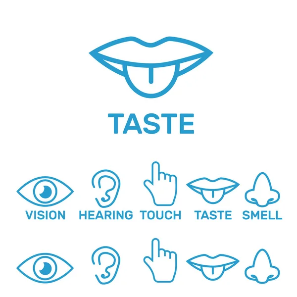 Indra manusia: penglihatan, bau, pendengaran, sentuhan, rasa. Ikon s - Stok Vektor